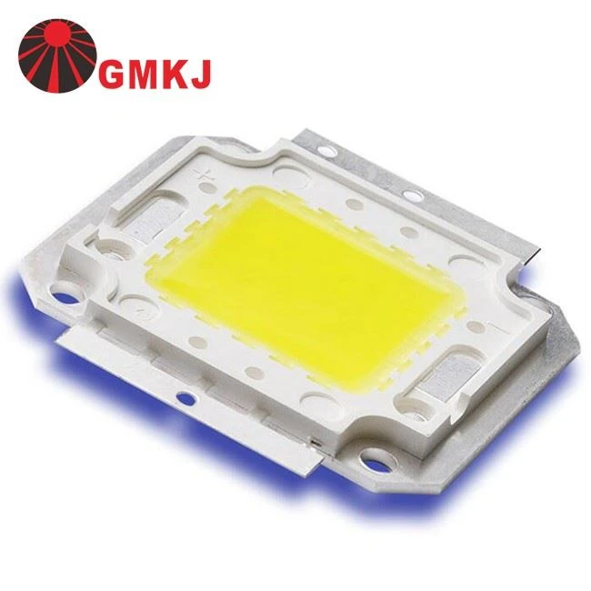 flounder cob led chip